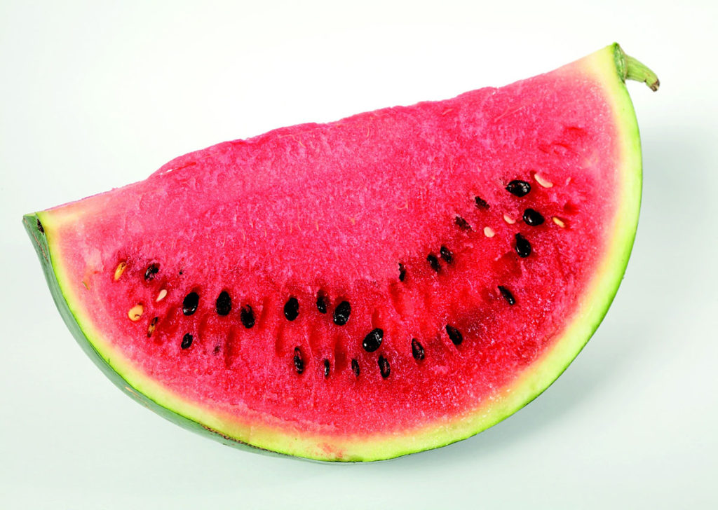 Can Golden Retrievers Eat Watermelon? Retrievers can eat watermelon. Watermelon provides nutrients and vitamins for your Golden Retriever. When the proper precautions are taken by removing the seeds, watermelon is a healthy, low-calorie treat.