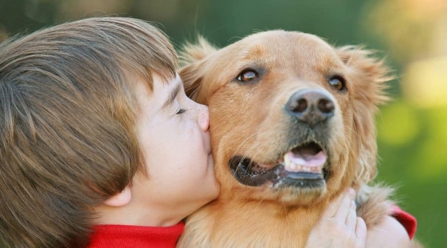 Golden Retrievers are good with kids. If you are looking for a breed of dog to have around your home that does well with kids, then look no further than the Golden Retriever. These dogs do well with all ages of children, knowing when to be soft and gentle with a baby and when they can be a little rambunctious around an older child. They can even take a little bit of pulling and climbing from younger children.